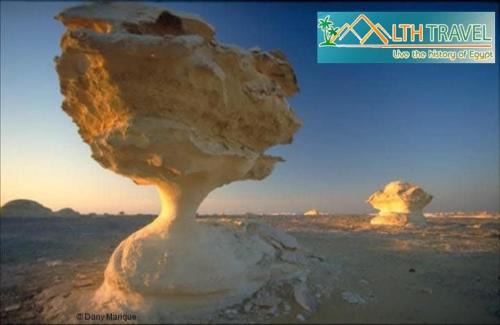 Bawati Other | White desert tent
