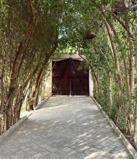 Beni Suef Governorate Hotel | iBiZa Hostel
