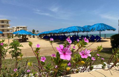 Fayed Apartment | Fanara Apartments Armed Forces