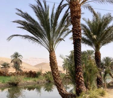 Luxor Apartment | Karima's house B
