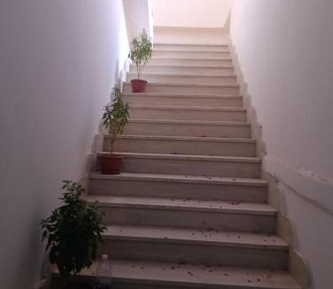 New Valley Governorate House | فندق سيتي ابيدوس