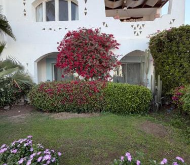 Sharm El Sheikh House | MDS Coral Bay Pearl Sea View Resort