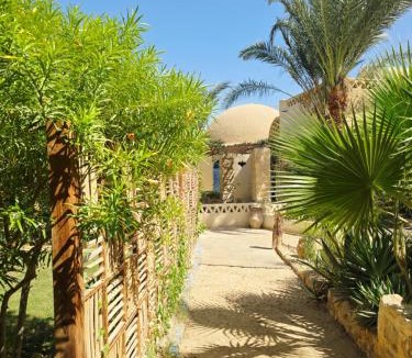 Tunis Village Bed & Breakfast | Fayoum Art Center