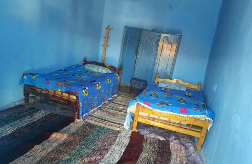 Aswan House | Arman House