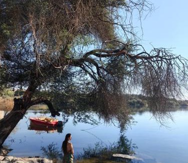 Seheil Island Hotel | Nala Narty Nubian House & Organic Farm