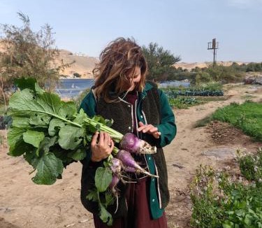 Seheil Island Hotel | Nala Narty Nubian House & Organic Farm