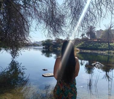 Seheil Island Hotel | Nala Narty Nubian House & Organic Farm