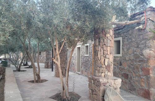 St. Catherine House | Fox Camp Farag