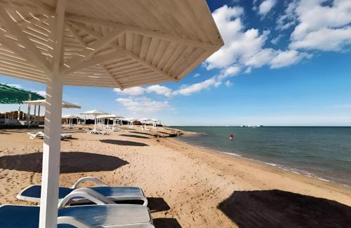 Al Ahyaa Hotel | Selena Bay Beach Resort