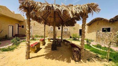 Siwa Hotel | ادرار احكيك