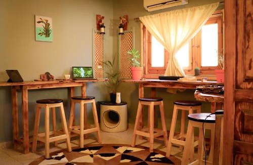 Dahab Hostel | Tecoma Hostel
