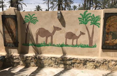 Siwa Apartment | Siwa Spot - Authentic Siwan Room with Private Patio