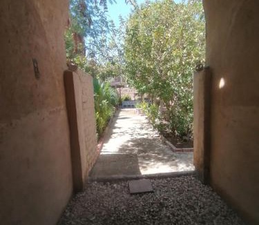 Luxor Hotel | Rose Guest House 您在盧克索的第二個家