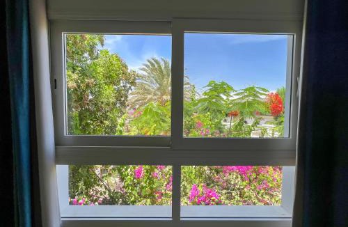 Dahab Hostel | Club Red Dahab Motel