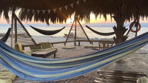 Nuweiba Other | Alwaha Camp