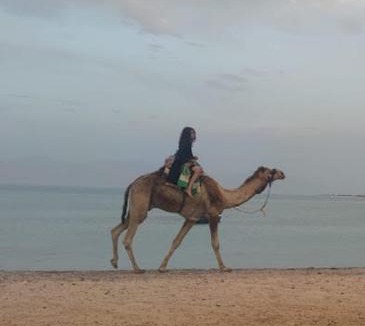 Nuweiba Other | صبابا كامب sababa camp