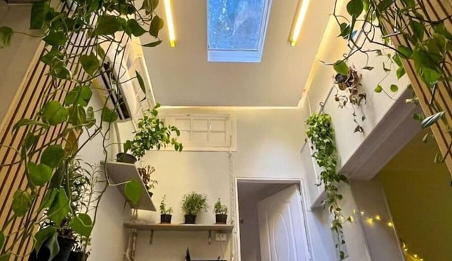 Welcome to The Greenhouse in Cairo Governorate
