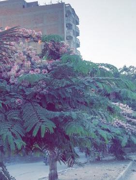 بيت الجميع in Ghaţāţī