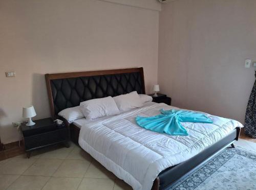 Luxor International Hostel in Luxor