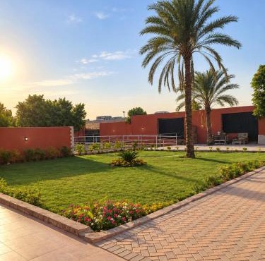 King pyramids Resort in Cairo