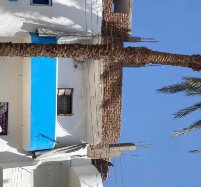 Tot house in Luxor