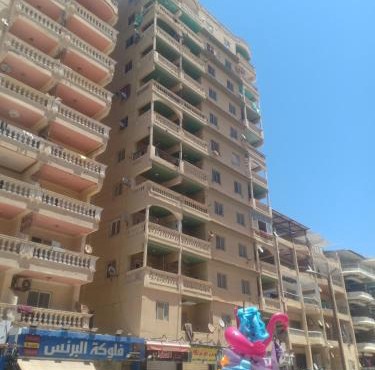 عمارة البنفسجية in Alexandria