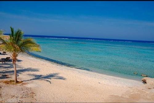 NEOS Club Mangrove Bay Resort in El Quseir