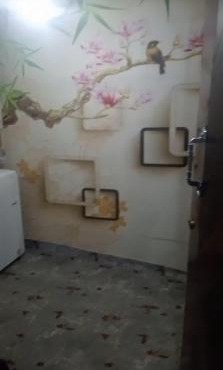سمكة بحر