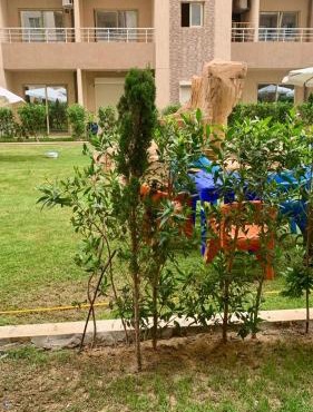 Biu Bela abartment hotel 2