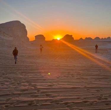 White Desert Experience