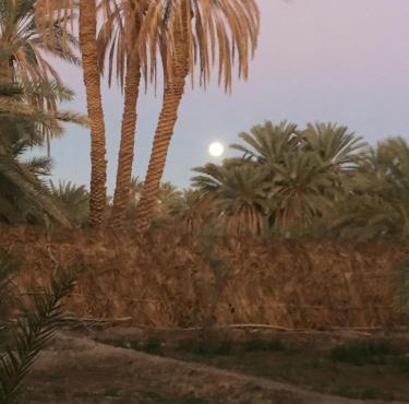 Siwa Spot - Authentic Siwan Room with Private Patio