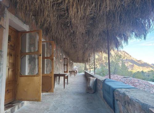 Fox Camp Farag
