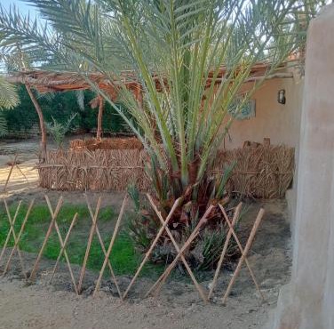 Siwa Spot - Authentic Siwan Room with Private Patio