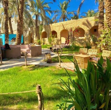 Arkan siwa أركان سيوة in Siwa