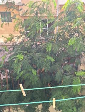 Sweet Home Hostel - للأجانب فقط